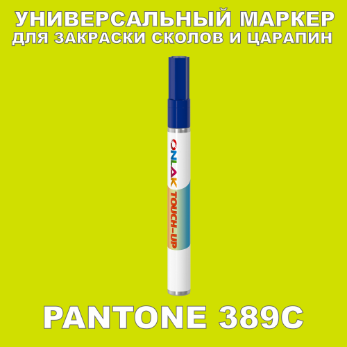 PANTONE 389C   