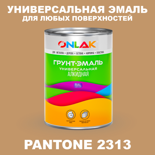 Краска цвет PANTONE 2313 C