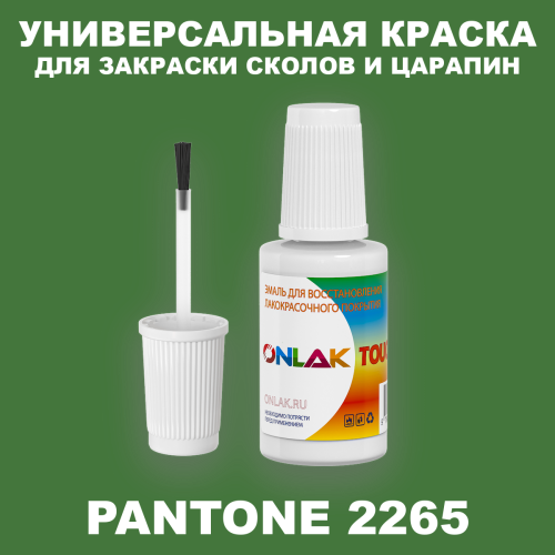 PANTONE 2265 C КРАСКА ДЛЯ СКОЛОВ, флакон с кисточкой
