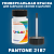 PANTONE 2187 C КРАСКА ДЛЯ СКОЛОВ, полуматовая, флакон 50мл с кисточкой