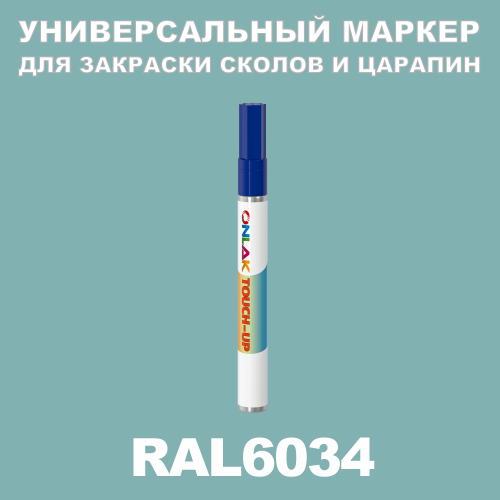 RAL 6034   
