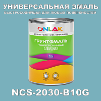 Краска цвет NCS 2030-B10G