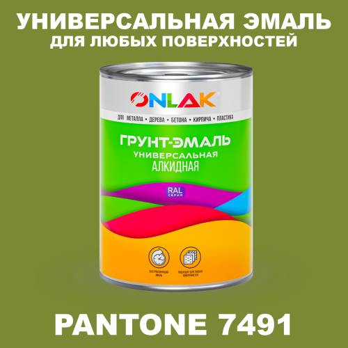 Краска цвет PANTONE 7491 C