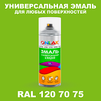 Аэрозольная краска, цвет RAL Design 1207075, спрей 520мл