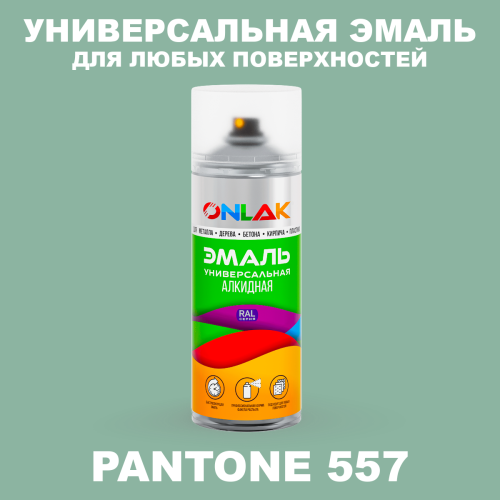 Аэрозольная краска ONLAK, цвет PANTONE 557 C, спрей 520мл