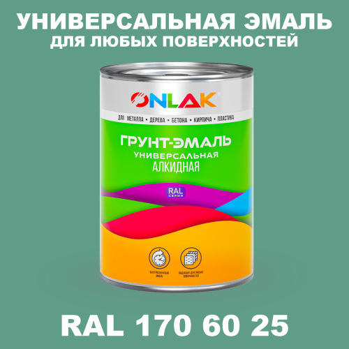 Краска цвет RAL DESIGN 1706025