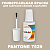 PANTONE 7529 C КРАСКА ДЛЯ СКОЛОВ, матовая, флакон 20мл с кисточкой