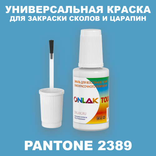 PANTONE 2389 C КРАСКА ДЛЯ СКОЛОВ, флакон с кисточкой