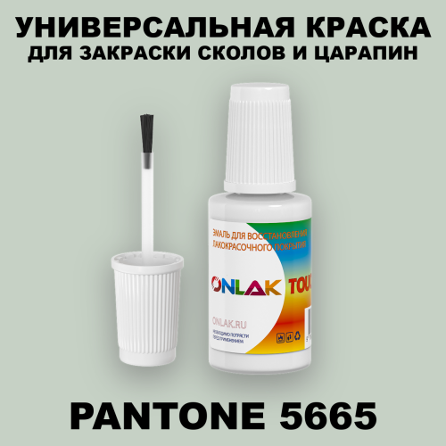 PANTONE 5665 C КРАСКА ДЛЯ СКОЛОВ, флакон с кисточкой