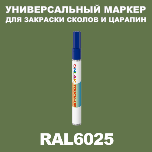 RAL 6025   