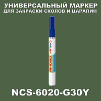 NCS 6020-G30Y   