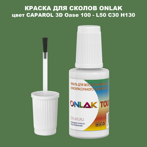 CAPAROL 3D Oase 100 КРАСКА ДЛЯ СКОЛОВ, флакон с кисточкой