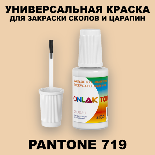 PANTONE 719 C КРАСКА ДЛЯ СКОЛОВ, флакон с кисточкой