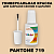 PANTONE 719 C КРАСКА ДЛЯ СКОЛОВ, флакон с кисточкой