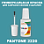 PANTONE 2220 C КРАСКА ДЛЯ СКОЛОВ, матовая, флакон 20мл с кисточкой