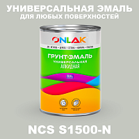 Краска цвет NCS S1500-N