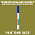 PANTONE 5825 C МАРКЕР С КРАСКОЙ
