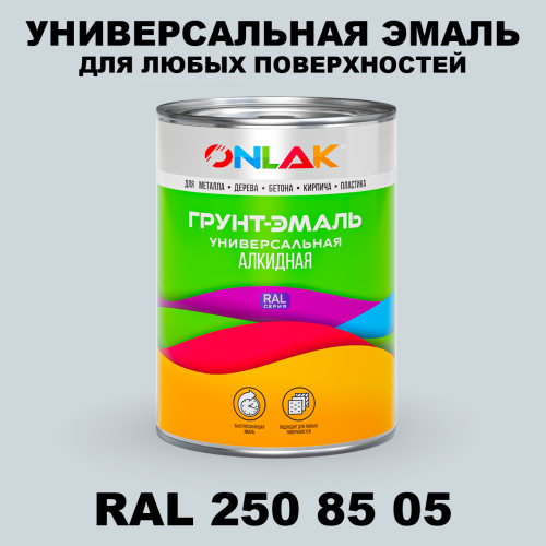 Краска цвет RAL DESIGN 2508505