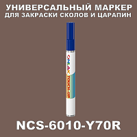NCS 6010-Y70R   