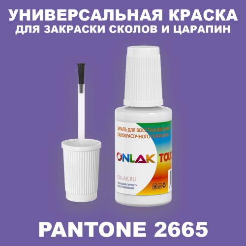 PANTONE 2665 C КРАСКА ДЛЯ СКОЛОВ, флакон с кисточкой