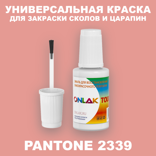 PANTONE 2339 C КРАСКА ДЛЯ СКОЛОВ, флакон с кисточкой