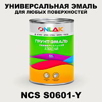Краска цвет NCS S0601-Y