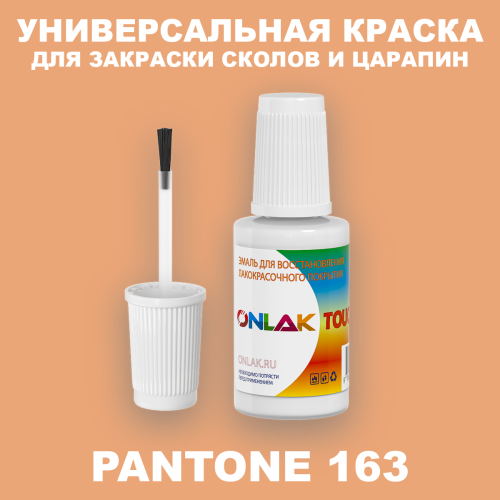 PANTONE 163 C КРАСКА ДЛЯ СКОЛОВ, флакон с кисточкой