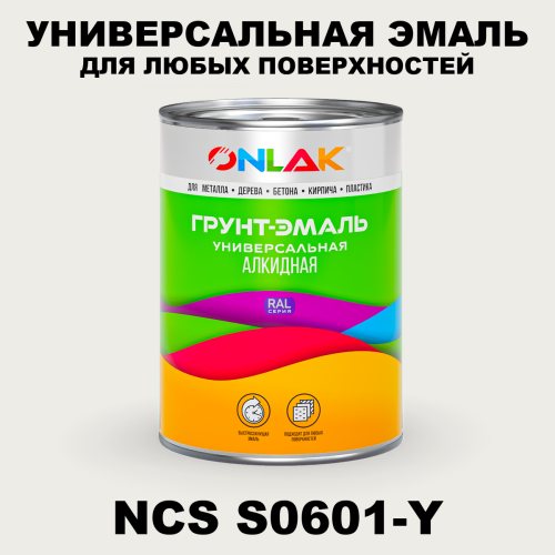 Краска цвет NCS S0601-Y