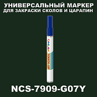 NCS 7909-G07Y   