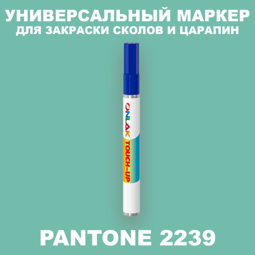 PANTONE 2239 C МАРКЕР С КРАСКОЙ