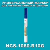 NCS 1060-B10G   