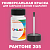 PANTONE 205 C КРАСКА ДЛЯ СКОЛОВ, полуматовая, флакон 50мл с кисточкой