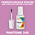 PANTONE 245 C КРАСКА ДЛЯ СКОЛОВ, полуматовая, флакон 20мл с кисточкой