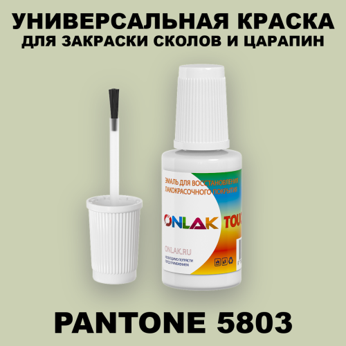 PANTONE 5803 C КРАСКА ДЛЯ СКОЛОВ, флакон с кисточкой