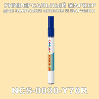 NCS 0030-Y70R МАРКЕР С КРАСКОЙ