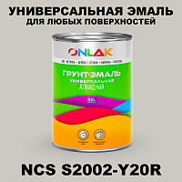 Краска цвет NCS S2002-Y20R