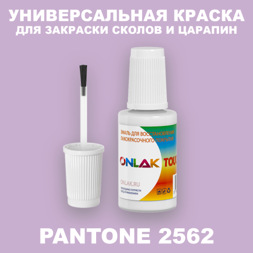 PANTONE 2562 C КРАСКА ДЛЯ СКОЛОВ, флакон с кисточкой