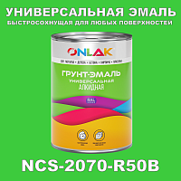 Краска цвет NCS 2070-R50B