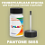 PANTONE 5855 C КРАСКА ДЛЯ СКОЛОВ, флакон 50мл с кисточкой