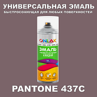 Аэрозольная краска ONLAK, цвет PANTONE 437C, спрей 520мл