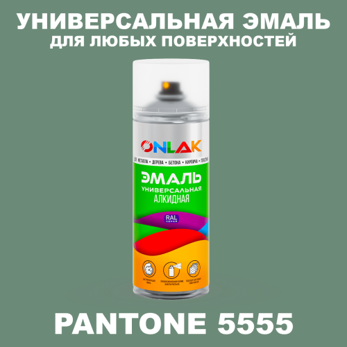 Аэрозольная краска ONLAK, цвет PANTONE 5555 C, спрей 520мл