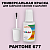 PANTONE 677 C КРАСКА ДЛЯ СКОЛОВ, флакон с кисточкой