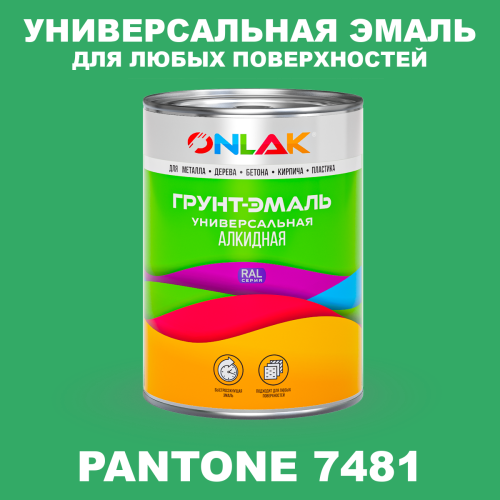Краска цвет PANTONE 7481 C