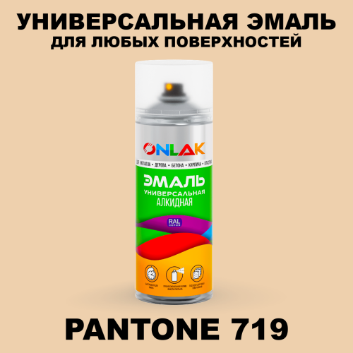 Аэрозольная краска ONLAK, цвет PANTONE 719 C, спрей 520мл