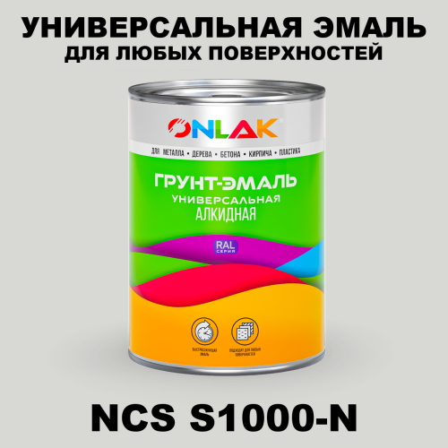 Краска цвет NCS S1000-N