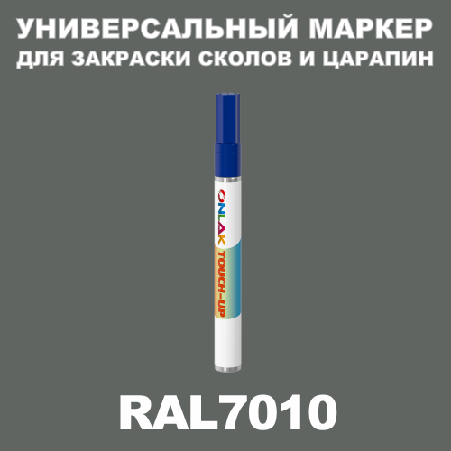 RAL 7010   