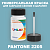 PANTONE 2205 C КРАСКА ДЛЯ СКОЛОВ, флакон 50мл с кисточкой