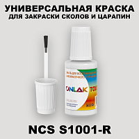 NCS S1001-R КРАСКА ДЛЯ СКОЛОВ, флакон с кисточкой