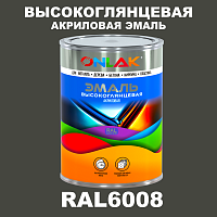 Высокоглянцевая акриловая 2К эмаль ONLAK, цвет RAL6008, в комплекте с отвердителем