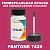 PANTONE 7425 C КРАСКА ДЛЯ СКОЛОВ, полуматовая, флакон 50мл с кисточкой